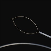 Mofuta wa mohlagare wa mmele o šele forceps .